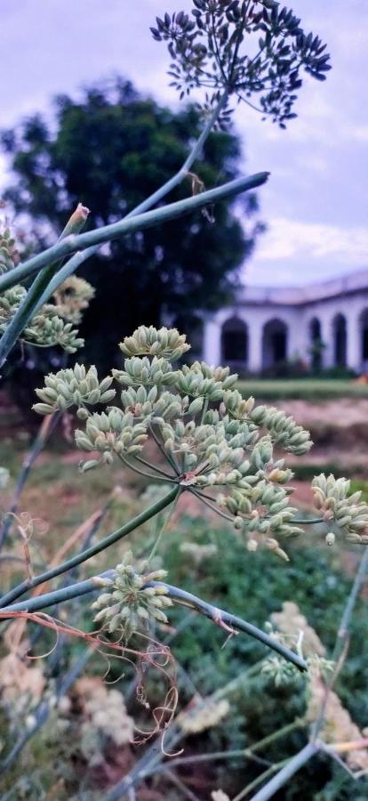 Royal Farm Bharatpur Exterior foto
