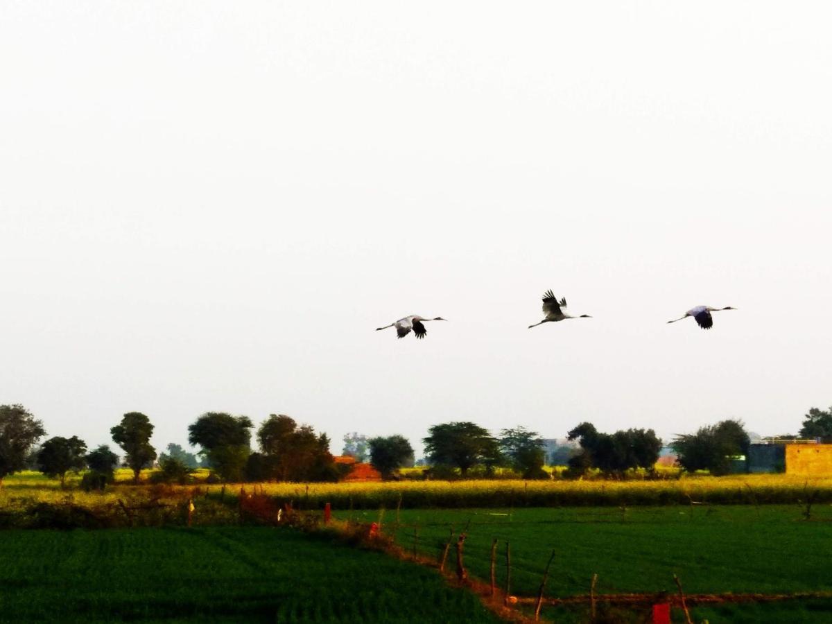 Royal Farm Bharatpur Exterior foto